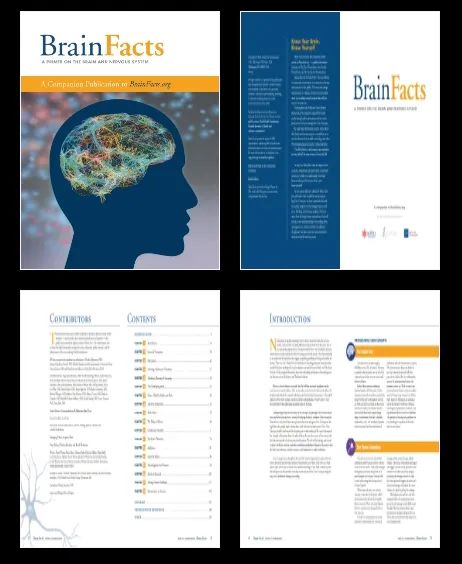 BrainBee生物竞赛教材分享，附BrainBee培训课程安排