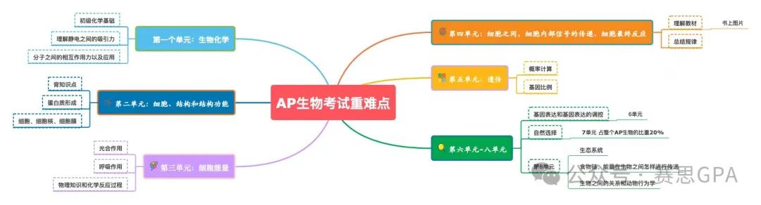 IB/AP/A-level 生物学科，一文带你剖析考试考什么！