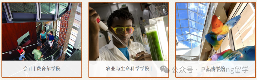 原来它才是全美第1的公立大学！UC为何都输它？