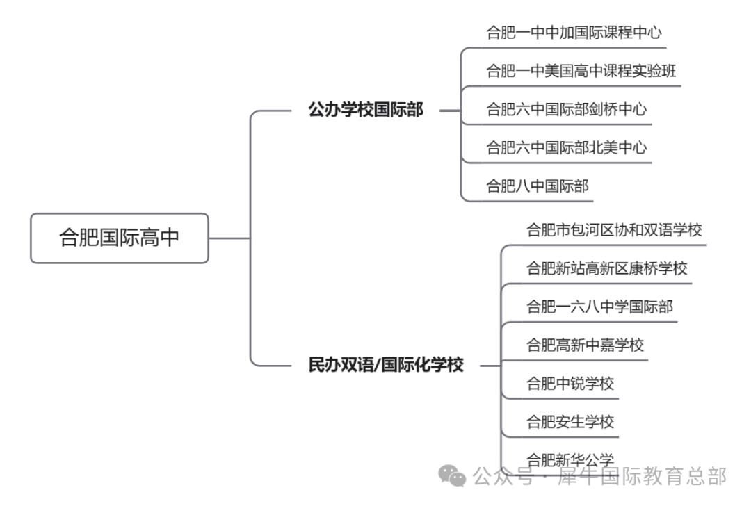 合肥国际高中怎么报名？转轨国际学校如何准备？