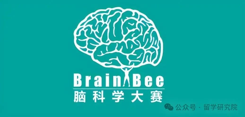 五年级就可以参加的Brainbee脑科学生物竞赛一文详解！