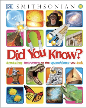 必备启蒙英语百科全书 - DK Did You Know?