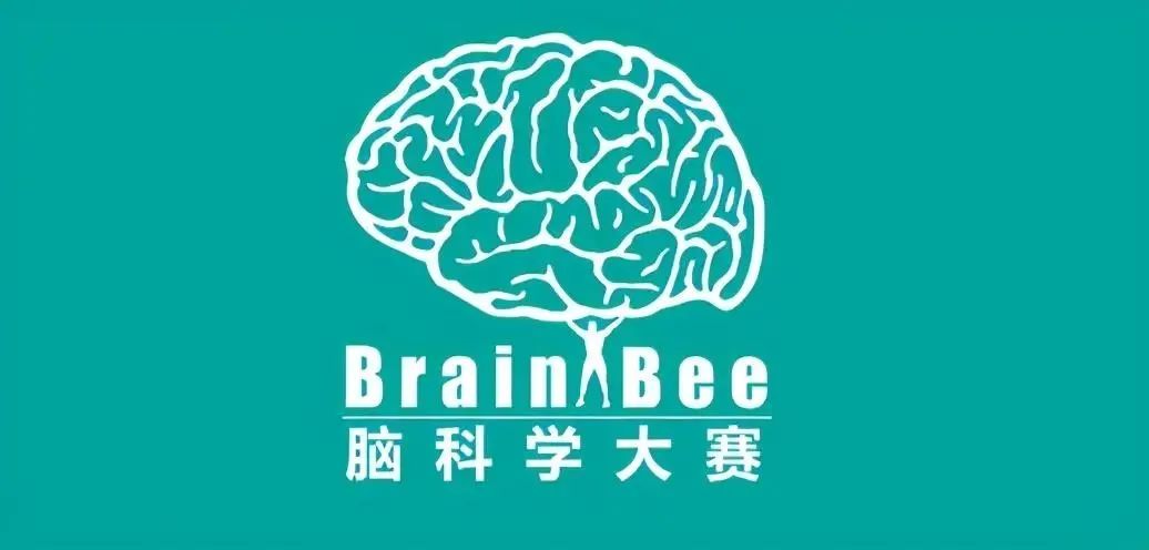 24年下半年各科顶尖国际竞赛汇总！含金量超高，爬藤利器！