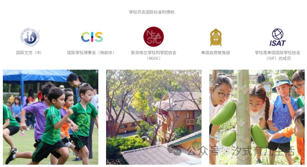 海外中学泰国系列|清迈PTIS普林国际学校