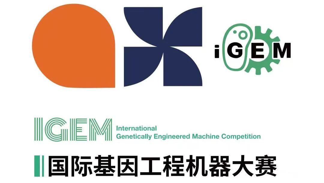 iGEM竞赛超全详解！如何高效备考iGEM？