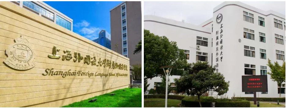1-5年级学生如何备考规划上海三公？徐汇，黄浦，浦东线下三公组班中~