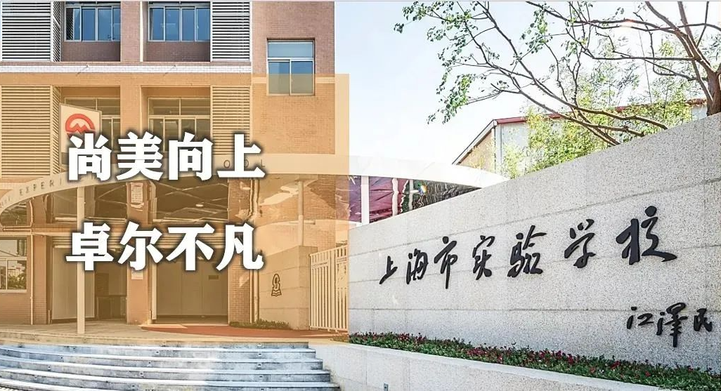 1-5年级学生如何备考规划上海三公？徐汇，黄浦，浦东线下三公组班中~